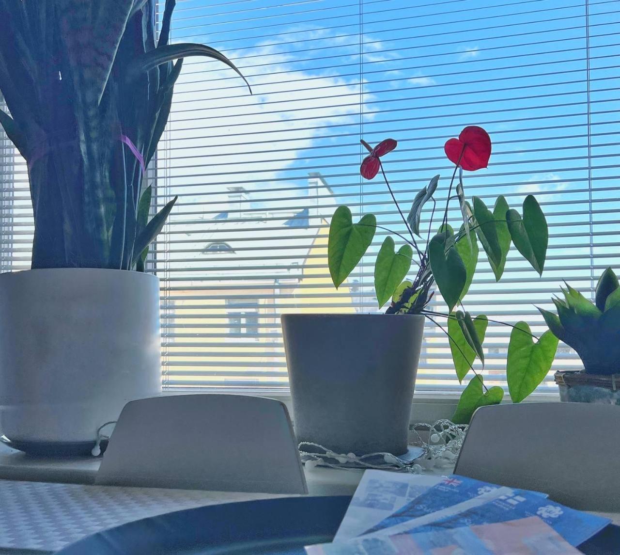 Scandinavian Desing Home 37 City Center In Kamppi Helsinki Zewnętrze zdjęcie